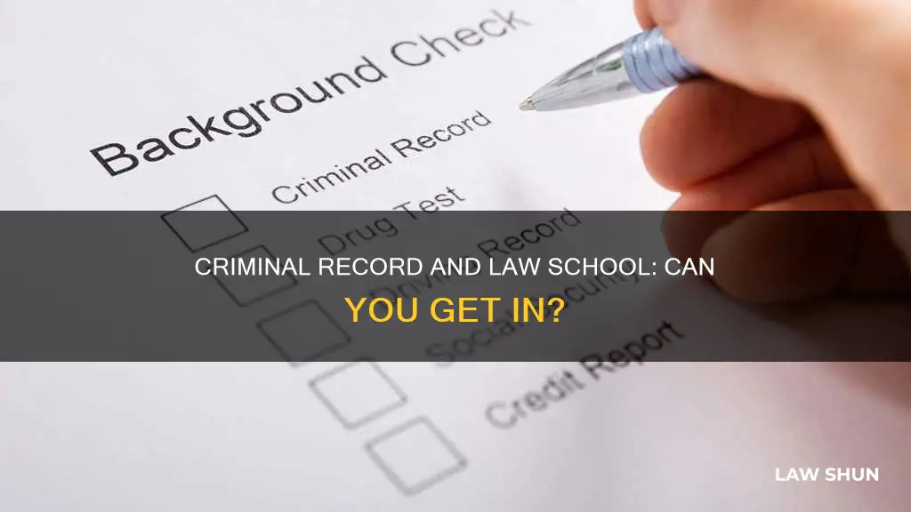 can ibget into law with a criminal record