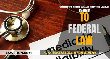 Illegal Aliens and Medicaid: What Federal Law Says