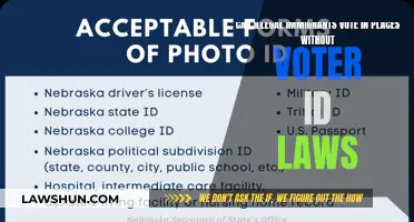 Do Illegal Immigrants Vote in Non-Voter ID States?