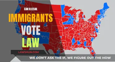 Who Can Vote? Immigration Laws and Voting Rights