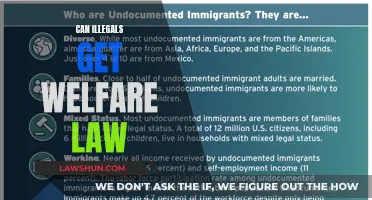 Illegals and Welfare: What Does the Law Say?