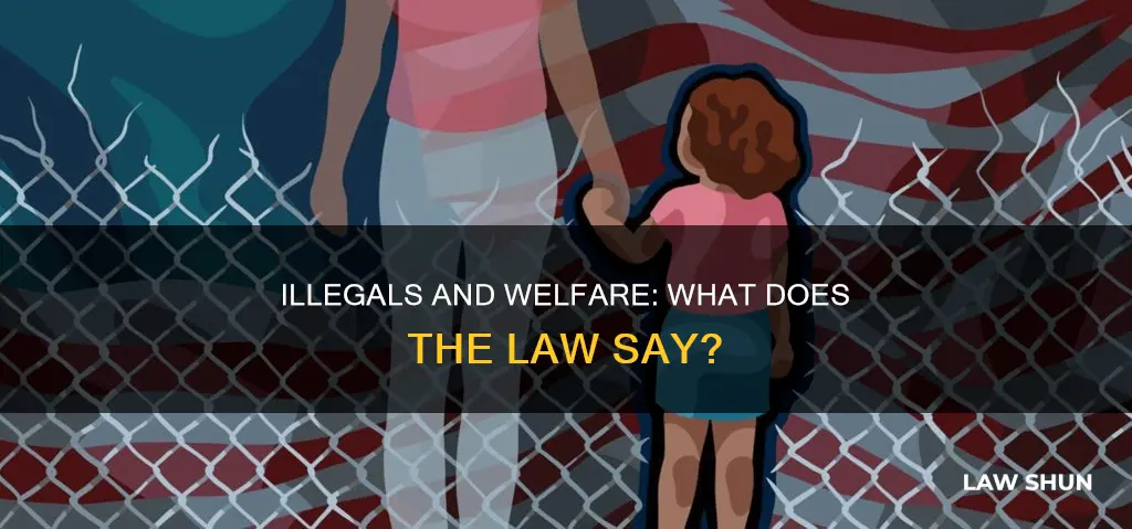 can illegals get welfare law