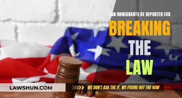Understanding Immigration Law: Deportation for Breaking Laws