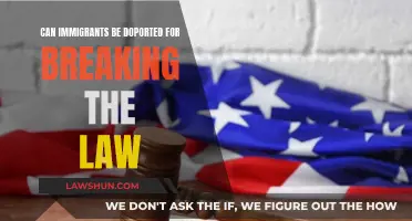 Immigrant Lawbreaking: Deportation and Its Complexities