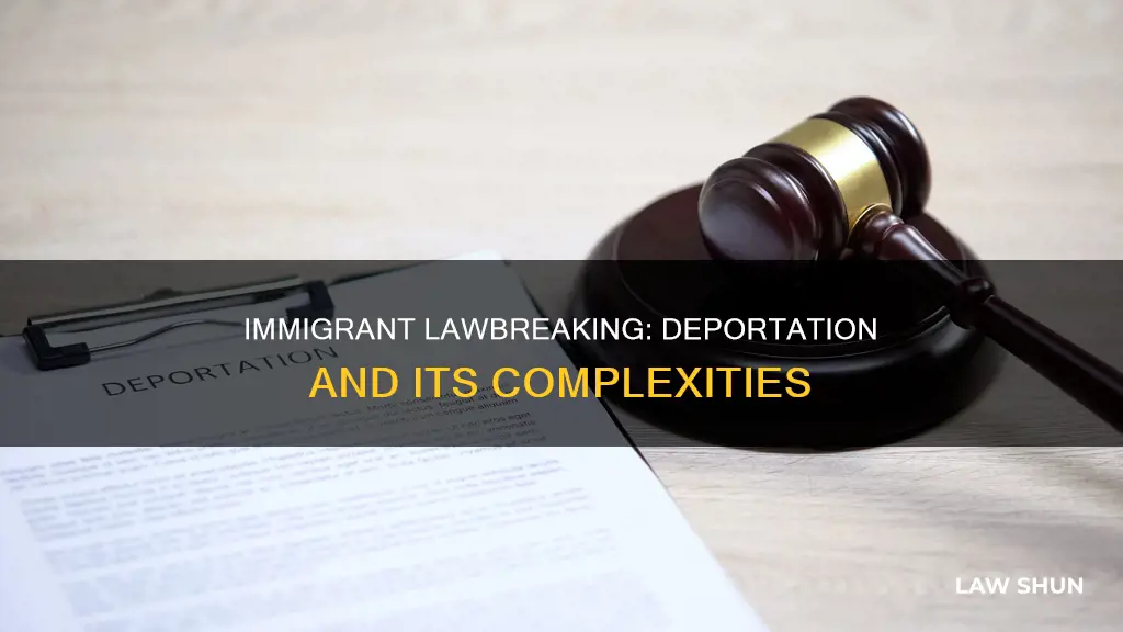 can immigrants be doported for breaking the law