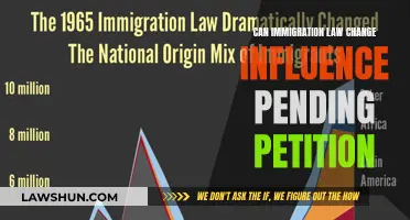 Immigration Law Changes: Impact on Pending Petitions