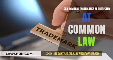 Immoral Trademarks: Common Law Protection?