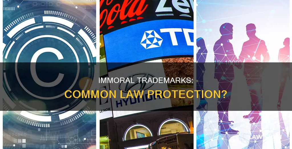 can immoral trademarks be protected at common law