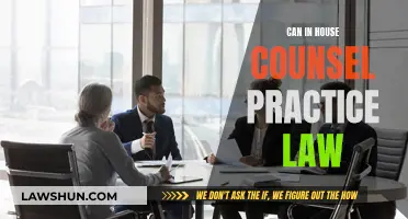In-House Counsel: Practicing Law or Something Different?