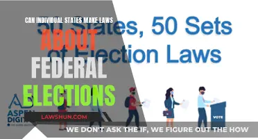 State vs Federal: Who Makes Election Laws?