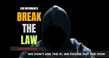 Informants: Lawbreakers or Law Enforcers?