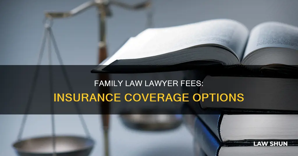 can insurance cover a family law lawyer