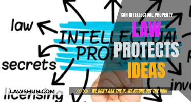 Protecting Ideas: IP Law's Power