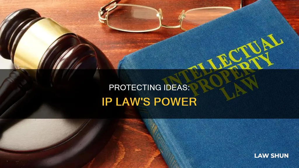 can intellectual property law protects ideas