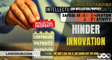 IP Laws: Friend or Foe of Innovation?