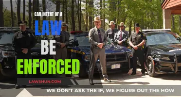 Enforcing Intent: Law's True North?