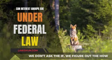 Interest Groups: Can They Sue Under Federal Law?