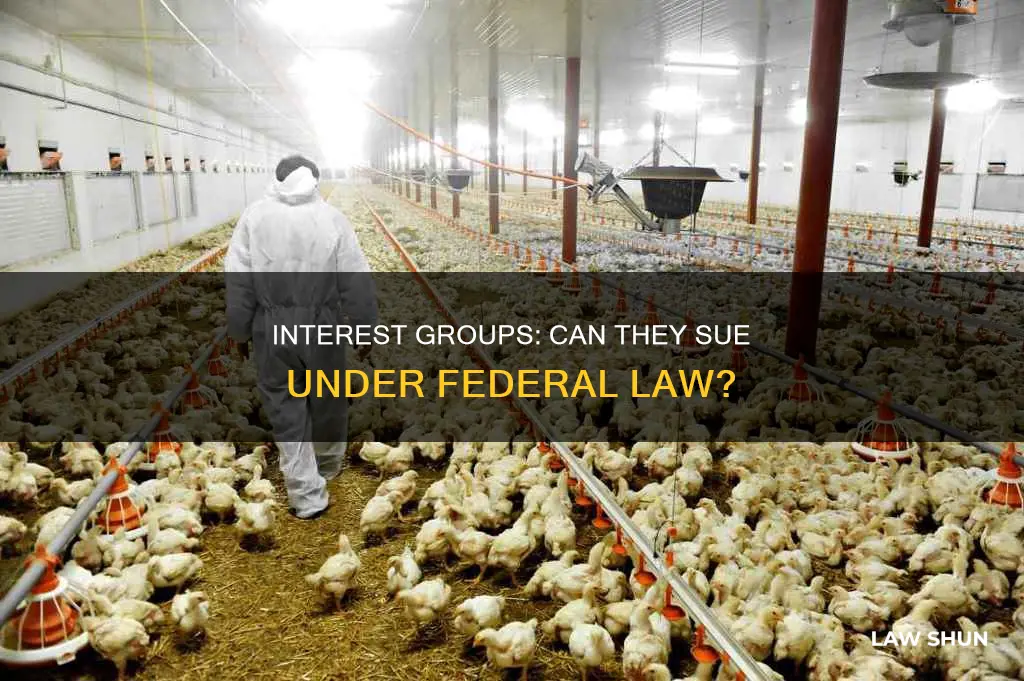 can interest groups sue under federal law