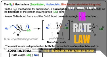 Intermediates in Rate Laws: Do They Affect Reaction Rates?