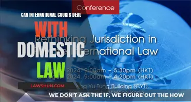 International Courts: Can They Handle Domestic Law?