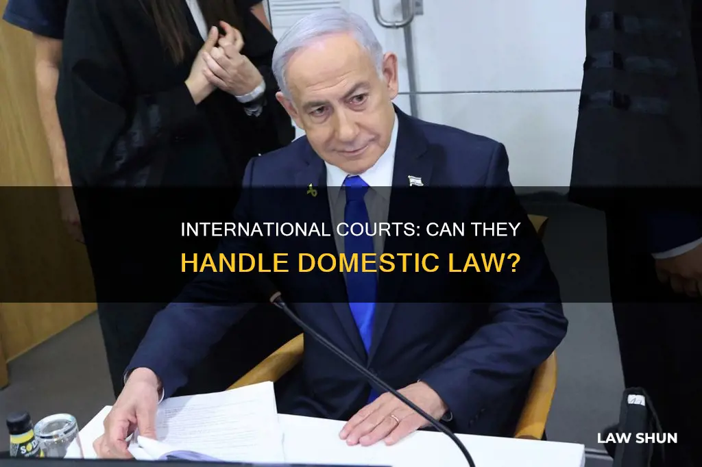 can international courts deal with domestic law