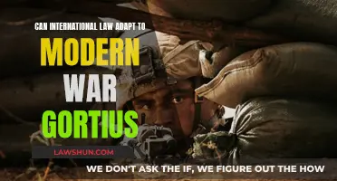 Modern Warfare: Can International Law Keep Up?