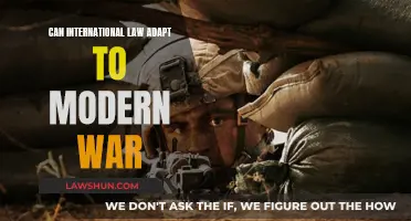 Modern Warfare: Adapting International Law