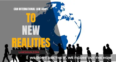 International Law: Adapting to a Changing World