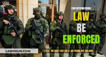 International Law: Enforceable or Not?