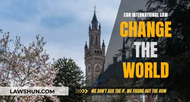 International Law: A Force for Global Change?