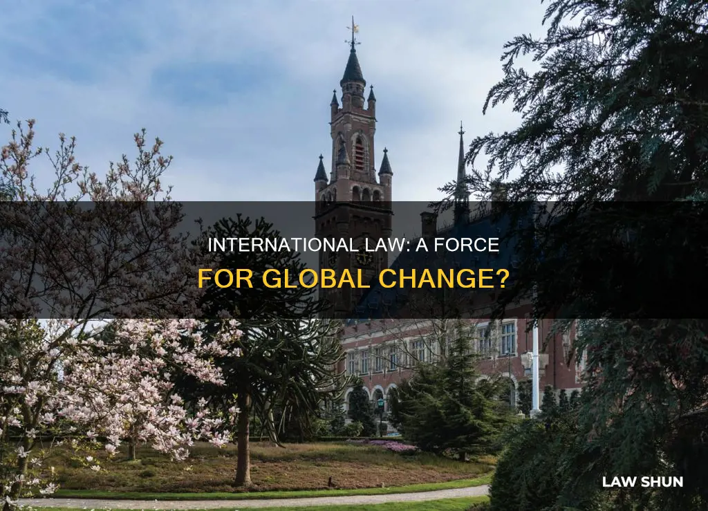 can international law change the world