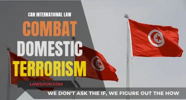International Law: A Domestic Terrorism Solution?