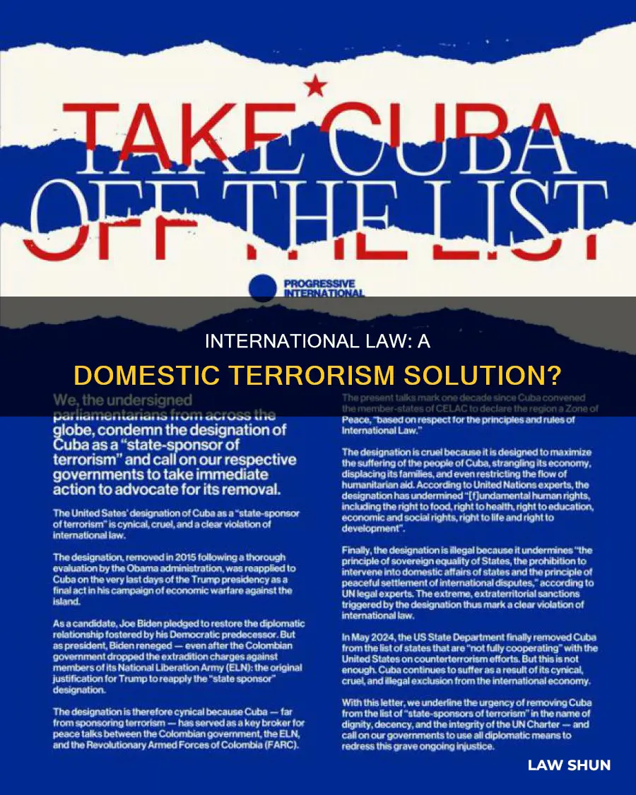 can international law combat domestic terrorism