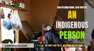 Indigenous Rights: International Law's Protection