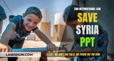 International Law: A Solution for Syria?
