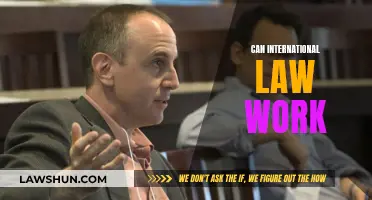 International Law: Effective or Not?
