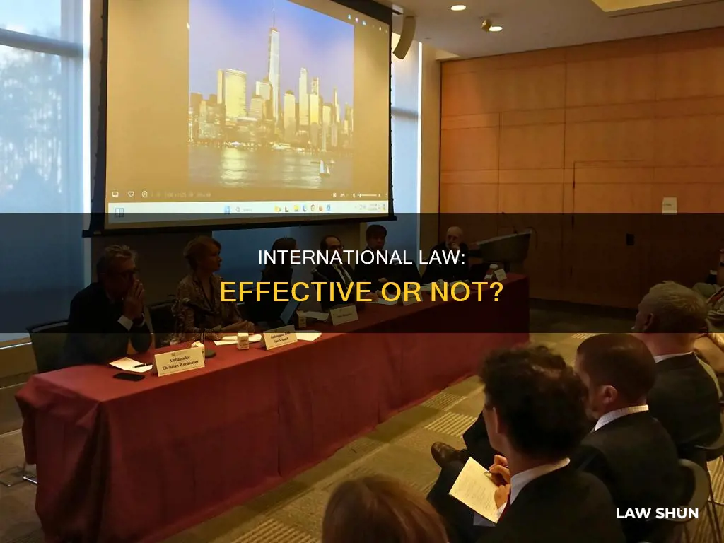 can international law work