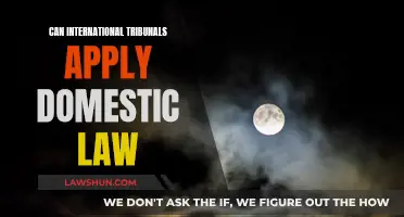 International Tribunals: Applying Domestic Law?