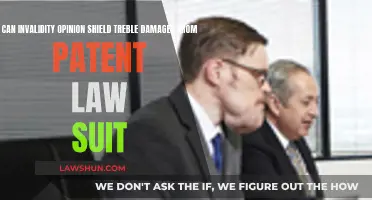 Invalidity Opinions: Shielding Against Treble Damages?