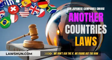 Japanese Companies: Choosing Foreign Laws?