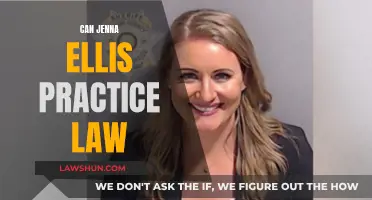 Jenna Ellis: Can She Still Practice Law?