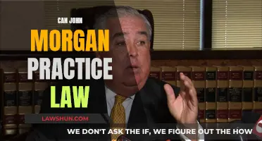 John Morgan: Practicing Law or Not?