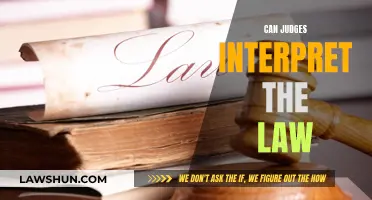 Judicial Interpretation: Law and the Judge's Role