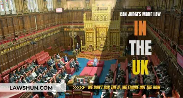Judicial Lawmaking: UK Judges' Power Explored