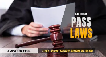 Judges and the Law: Who Makes the Rules?