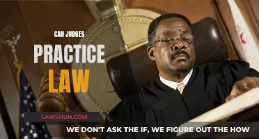 Judges and Legal Practice: Can They?