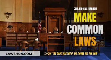 How Judicial Branch Influences Common Law