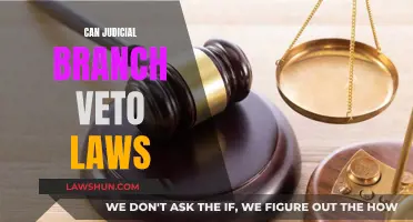 Judicial Branch: Can They Veto Laws?