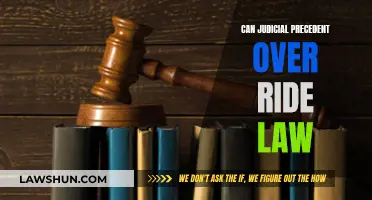 How Precedent Can Interpret or Change Law