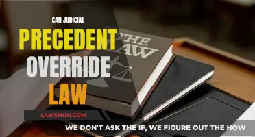 Judicial Precedent: Overriding Law?